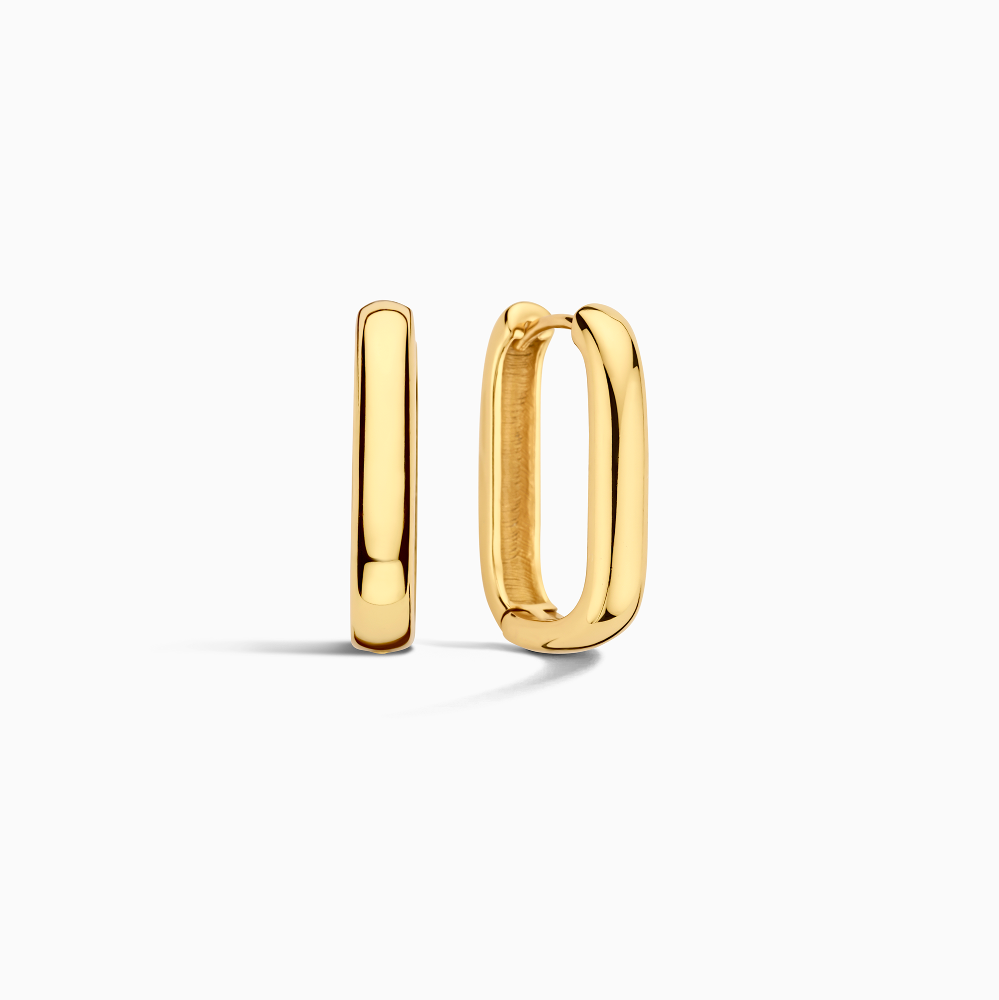 Vivarynne | Aros Icono de Oro de 18K