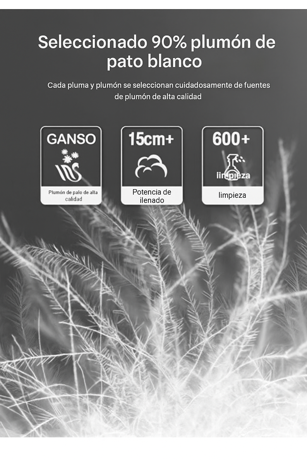 Aristón | Chaqueta Híbrida Premium